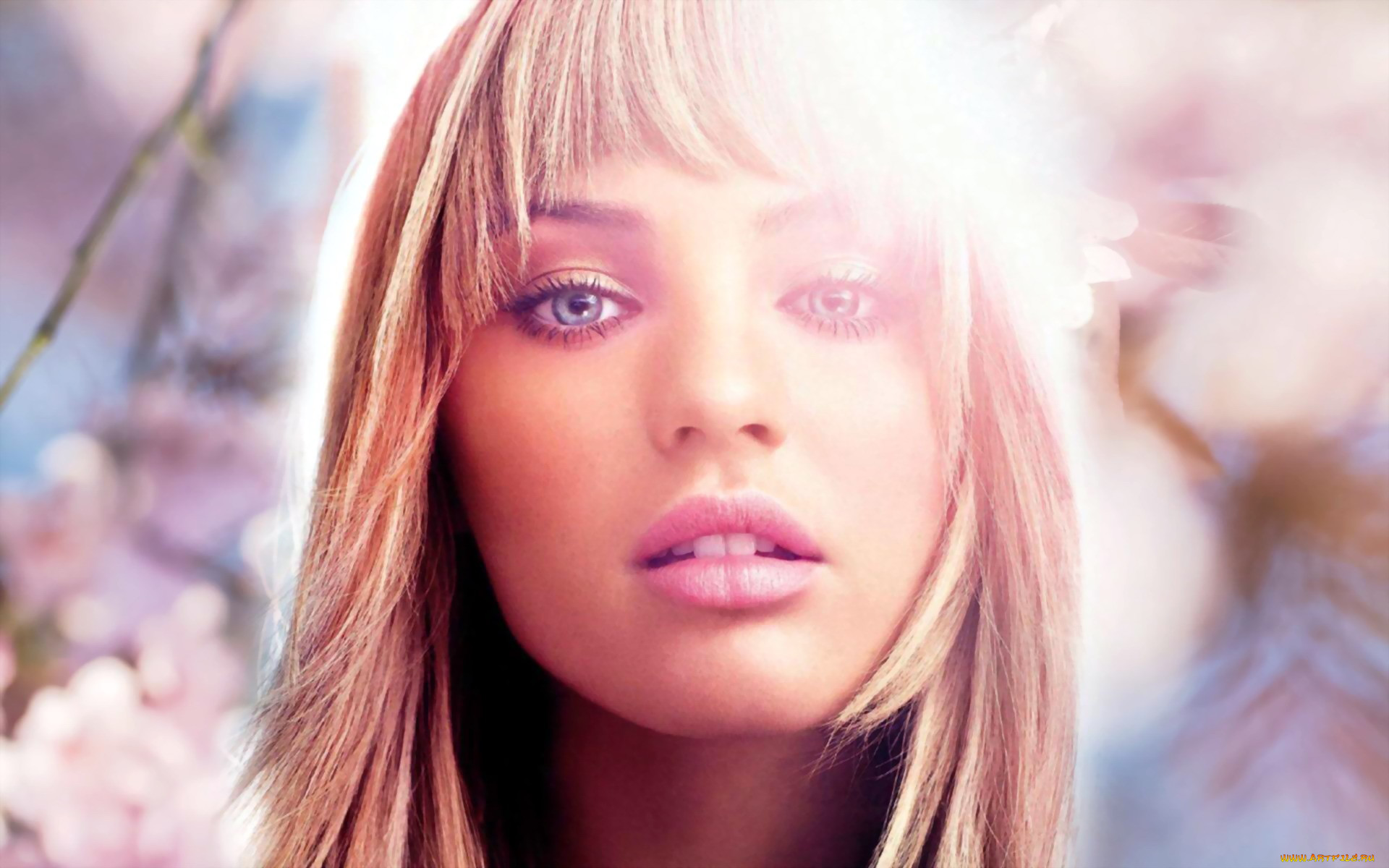 , candice swanepoel, , , 
